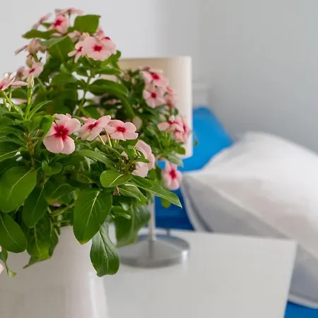 Апартаменты L'attico Del Centro Tra Il Petruzzelli Ed Il Mare Бари