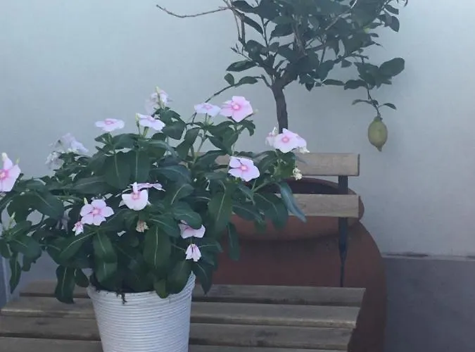 L'attico Del Centro Tra Il Petruzzelli Ed Il Mare Apartament Bari