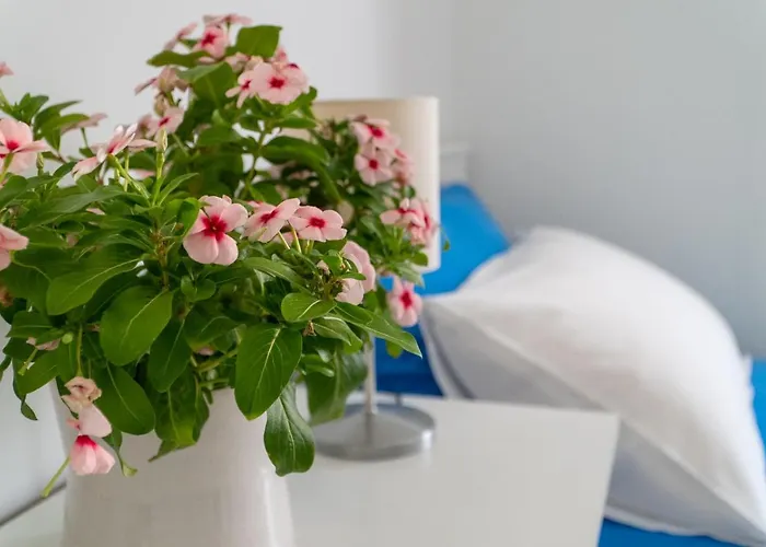 Apartament L'attico Del Centro Tra Il Petruzzelli Ed Il Mare Bari