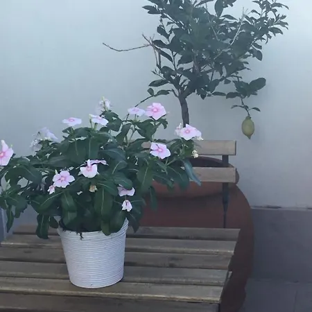 L'attico Del Centro Tra Il Petruzzelli Ed Il Mare Appartement Bari
